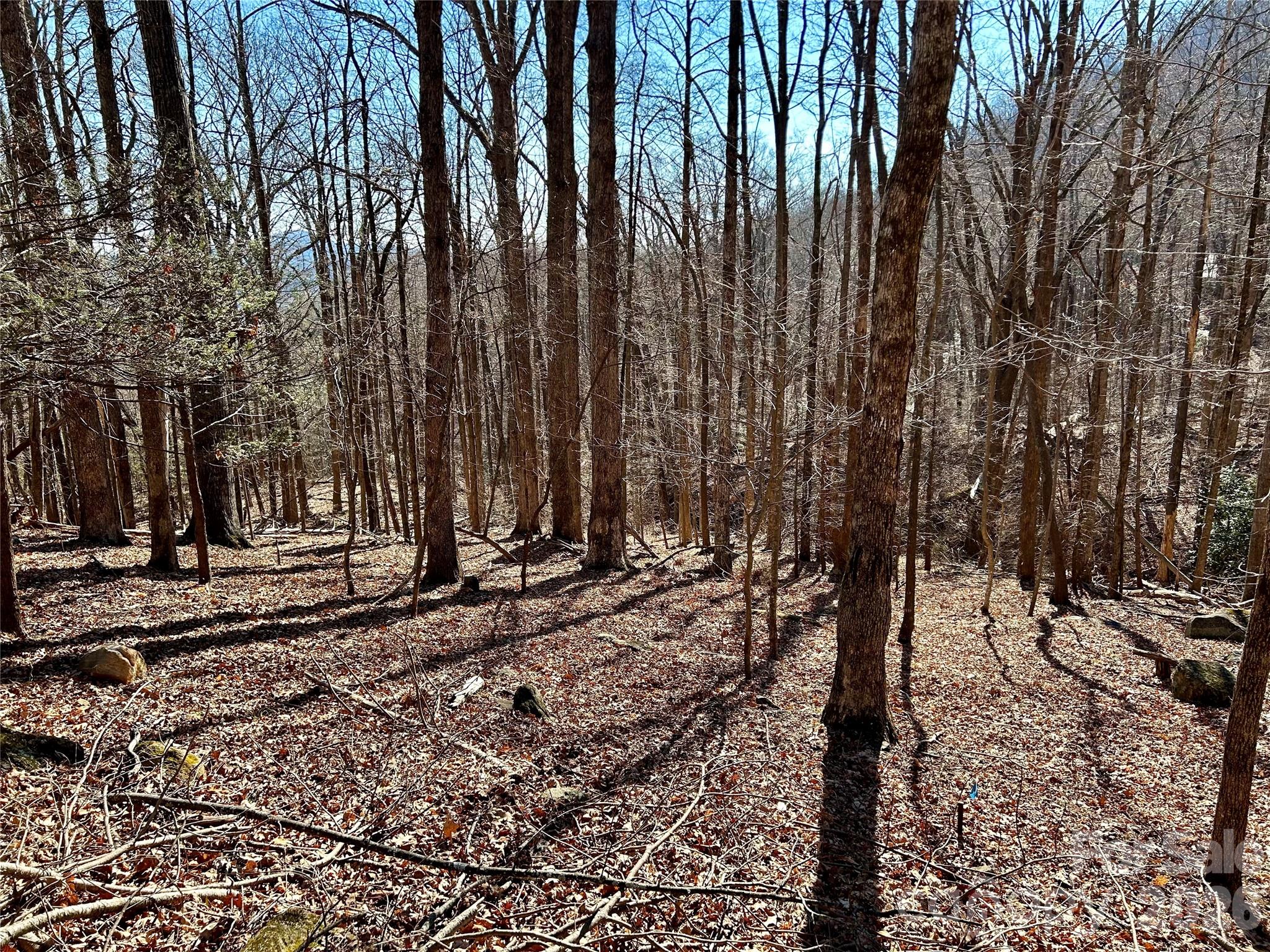 Lot 229 Swallow Lane Lake Lure NC 28746