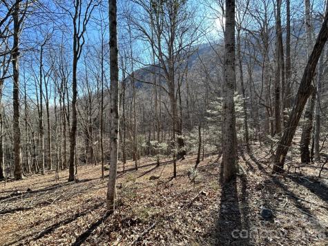 Lot 229 Swallow Lane Lake Lure NC 28746