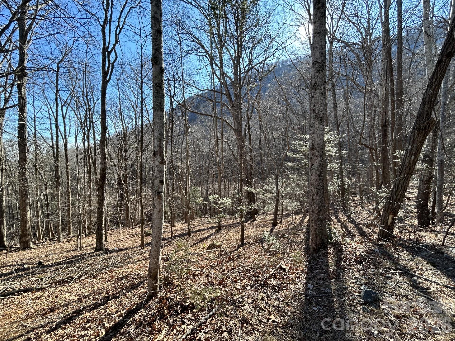 Lot 229 Swallow Lane Lake Lure NC 28746
