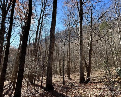 Lot 229 Swallow Lane Lake Lure NC 28746