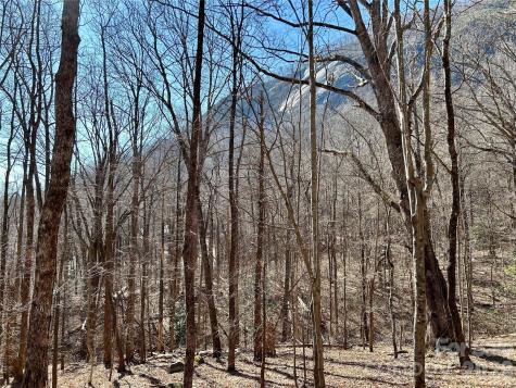 Lot 229 Swallow Lane Lake Lure NC 28746