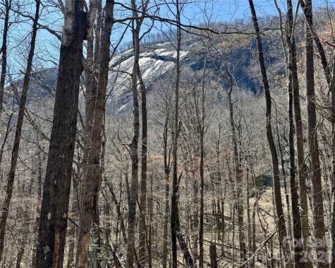 Lot 229 Swallow Lane Lake Lure NC 28746