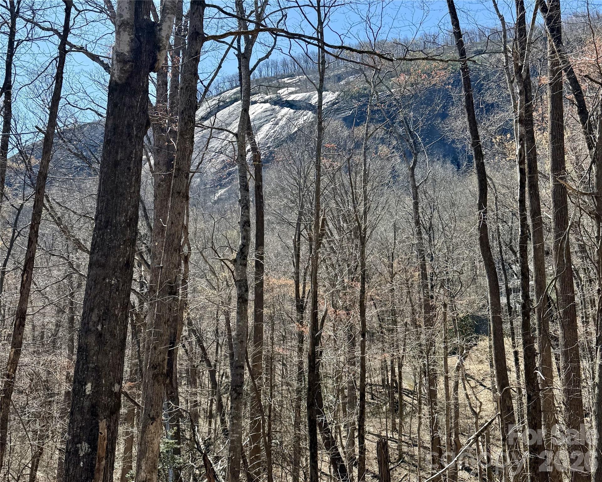 Lot 229 Swallow Lane Lake Lure NC 28746