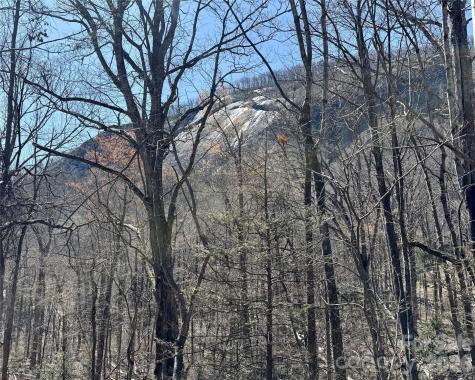 Lot 229 Swallow Lane Lake Lure NC 28746