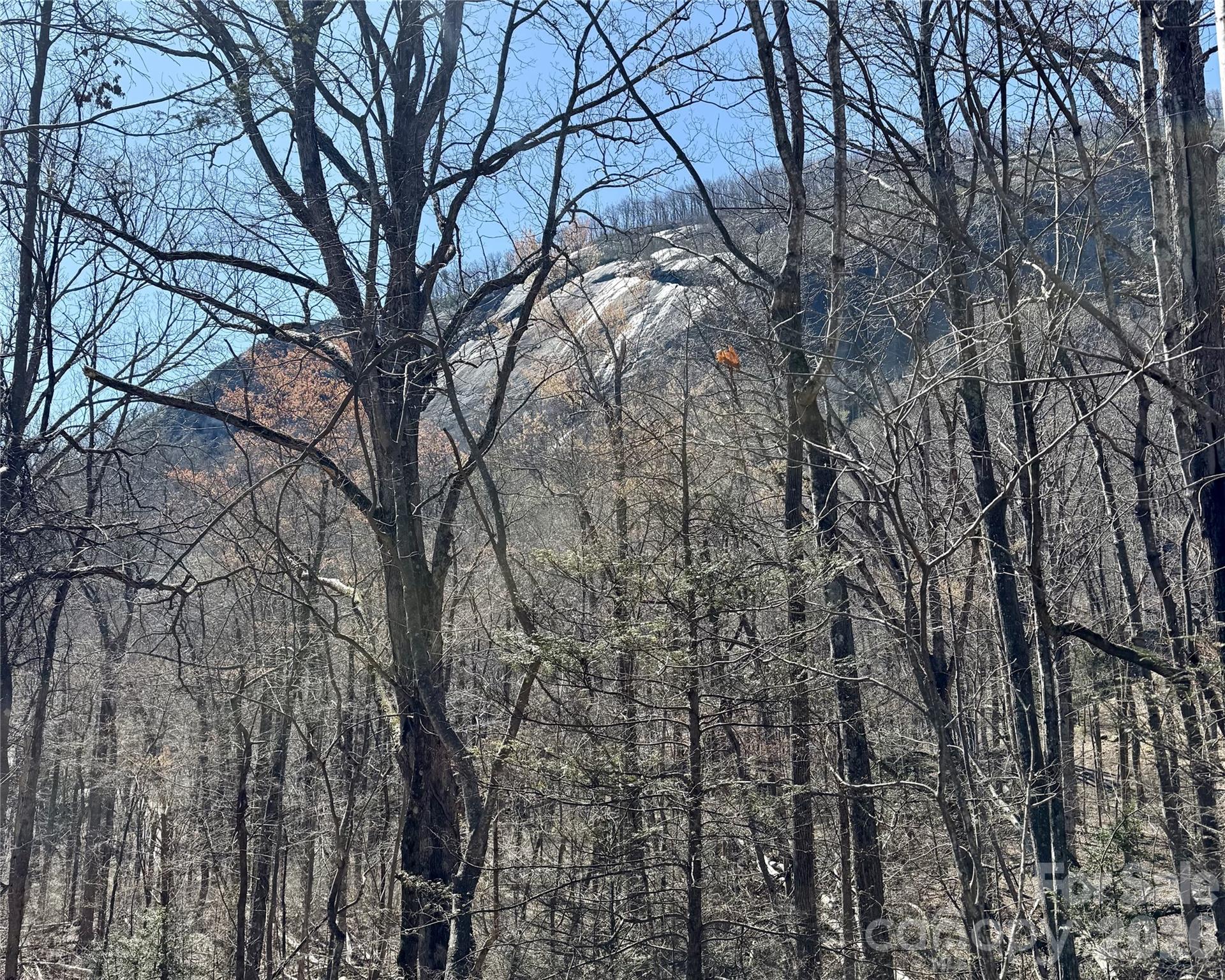 Lot 229 Swallow Lane Lake Lure NC 28746