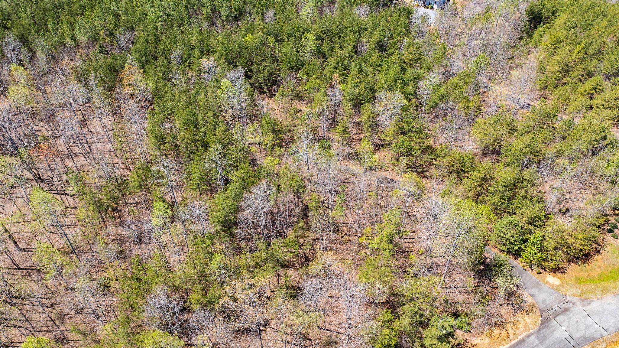 Tbd Jobes Trail Mill Spring NC 28756