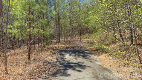 Tbd Jobes Trail Mill Spring NC 28756