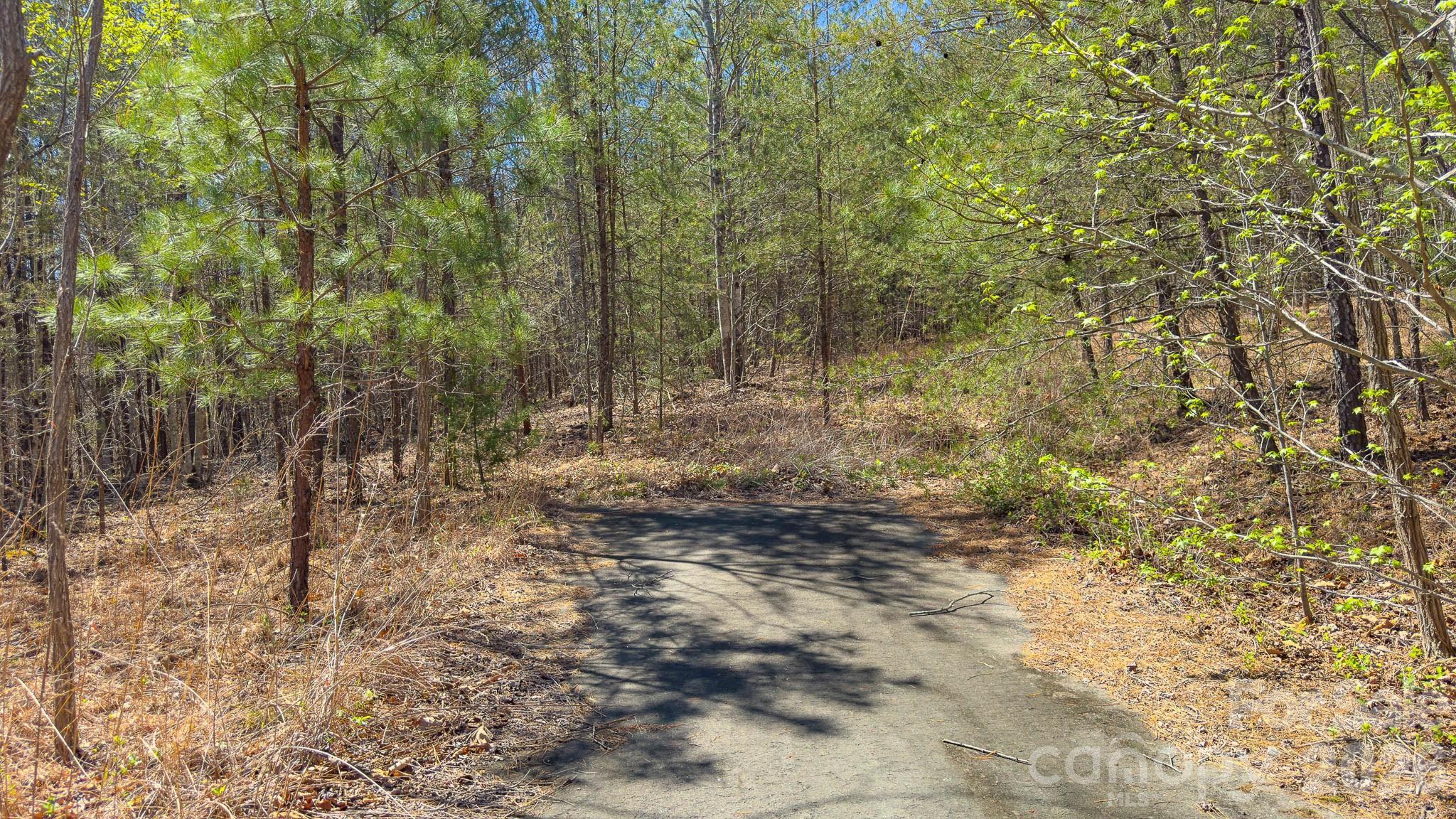 Tbd Jobes Trail Mill Spring NC 28756