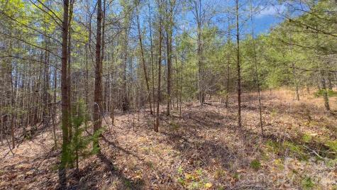 Tbd Jobes Trail Mill Spring NC 28756