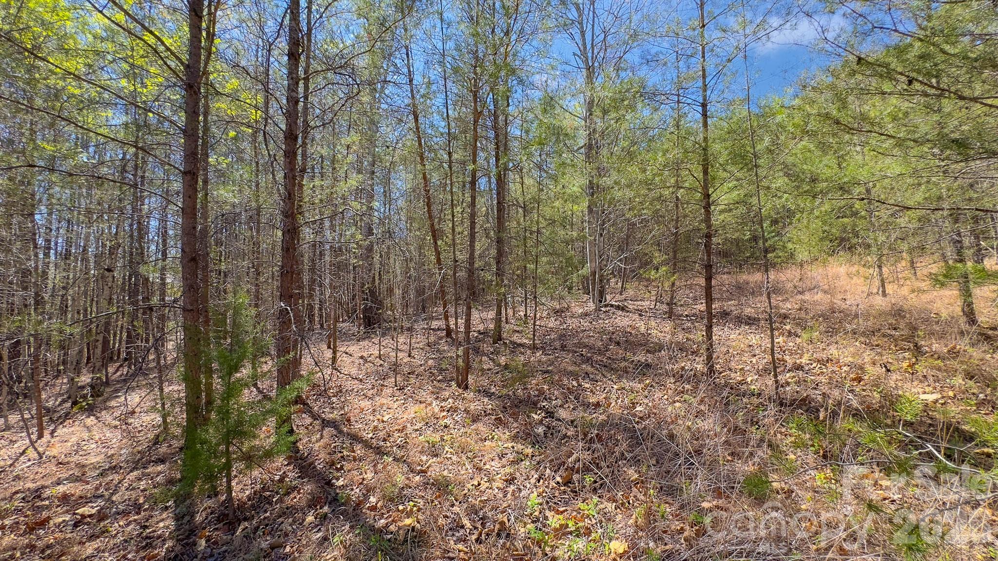 Tbd Jobes Trail Mill Spring NC 28756