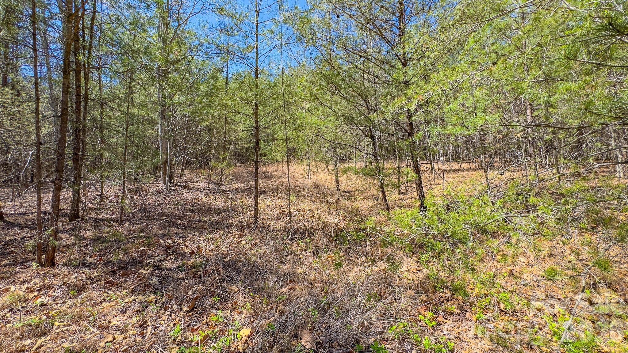 Tbd Jobes Trail Mill Spring NC 28756