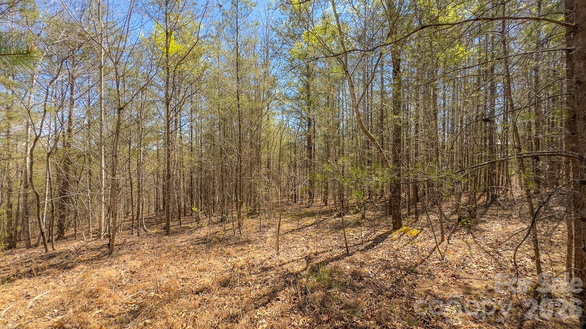 Tbd Jobes Trail Mill Spring NC 28756