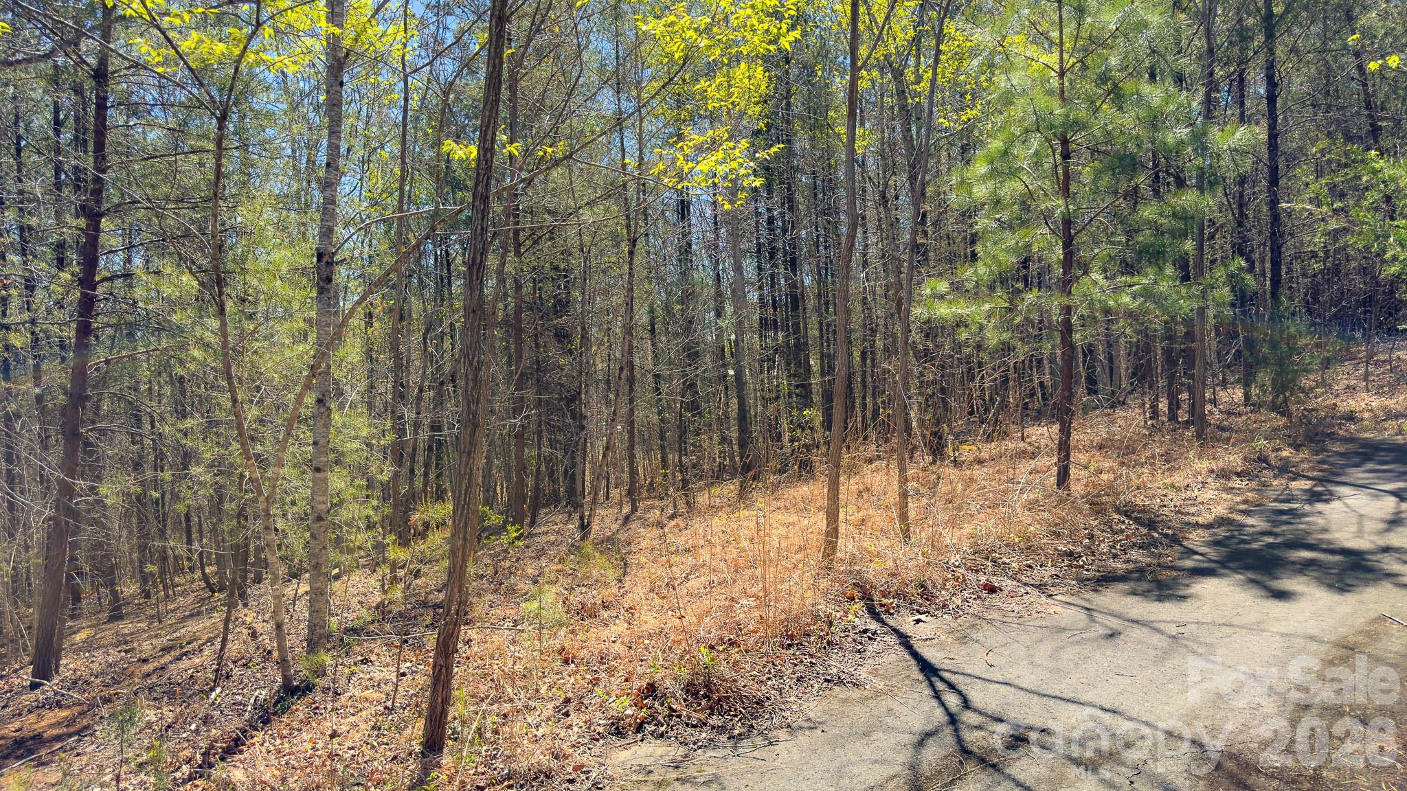 Tbd Jobes Trail Mill Spring NC 28756