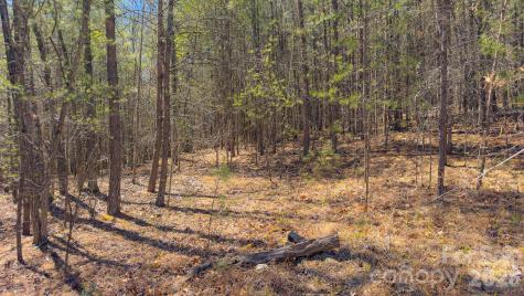 Tbd Jobes Trail Mill Spring NC 28756