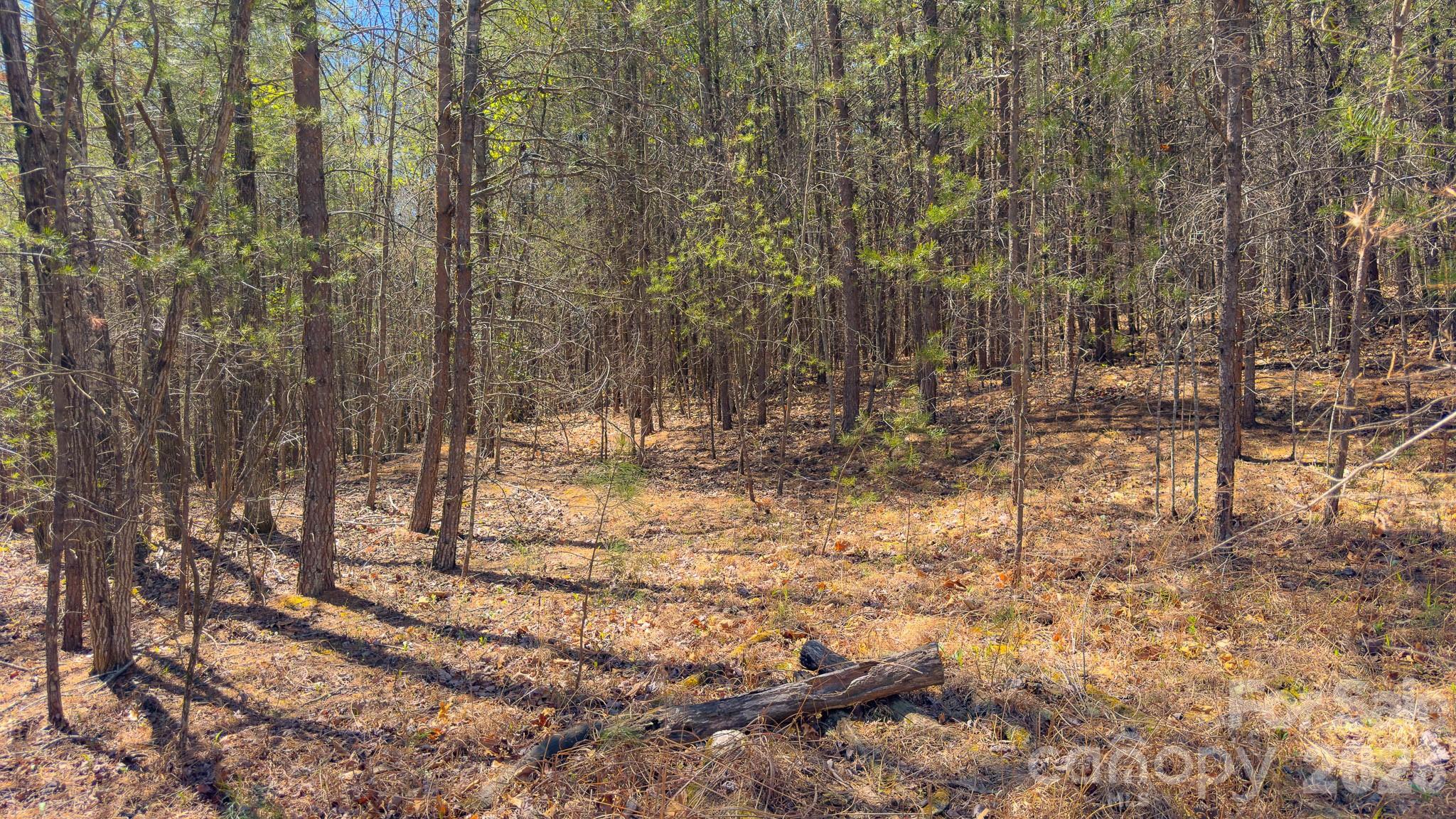 Tbd Jobes Trail Mill Spring NC 28756