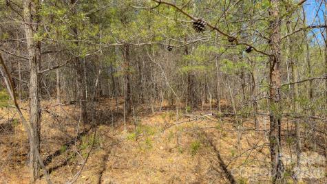 Tbd Jobes Trail Mill Spring NC 28756