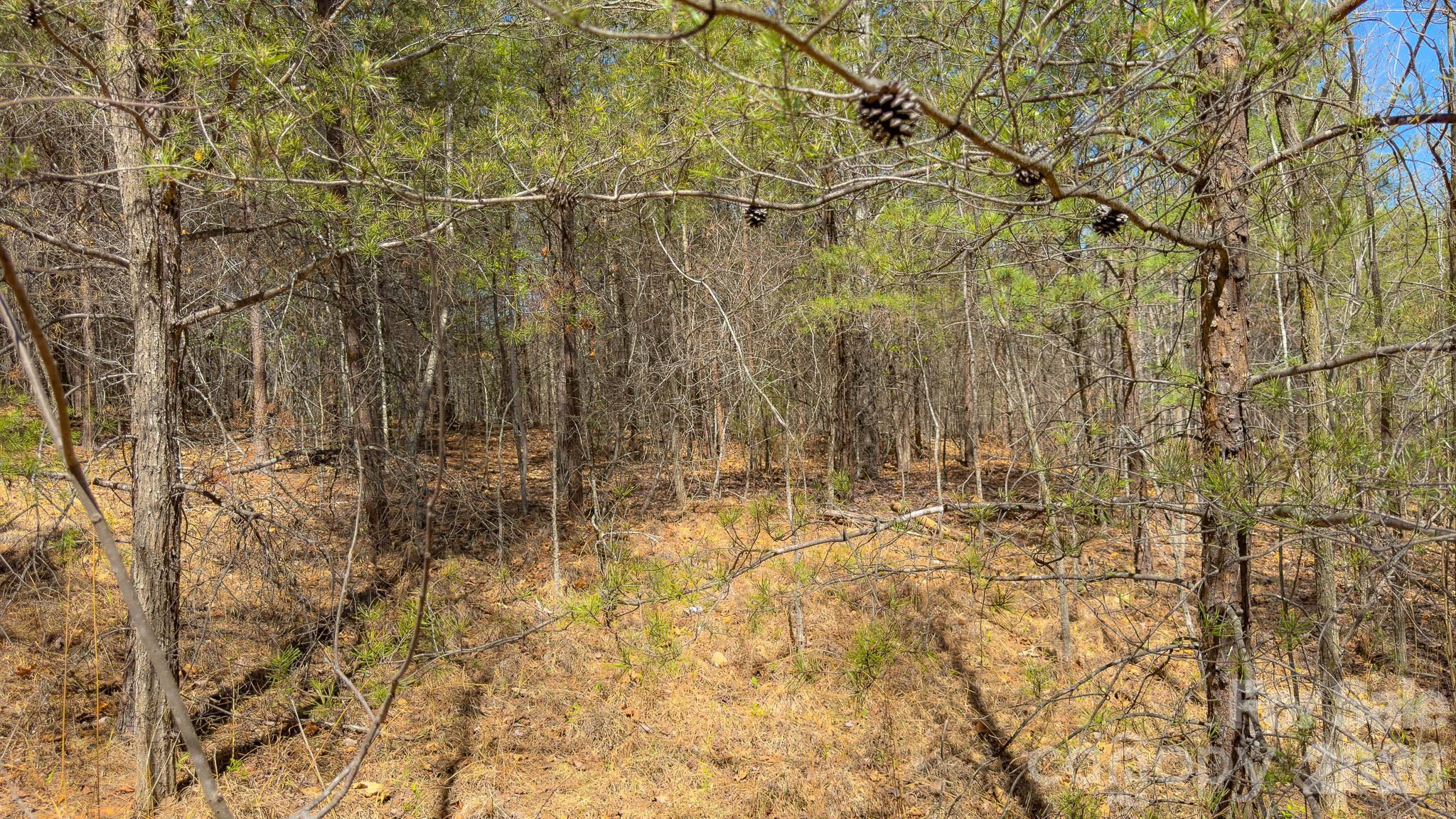 Tbd Jobes Trail Mill Spring NC 28756