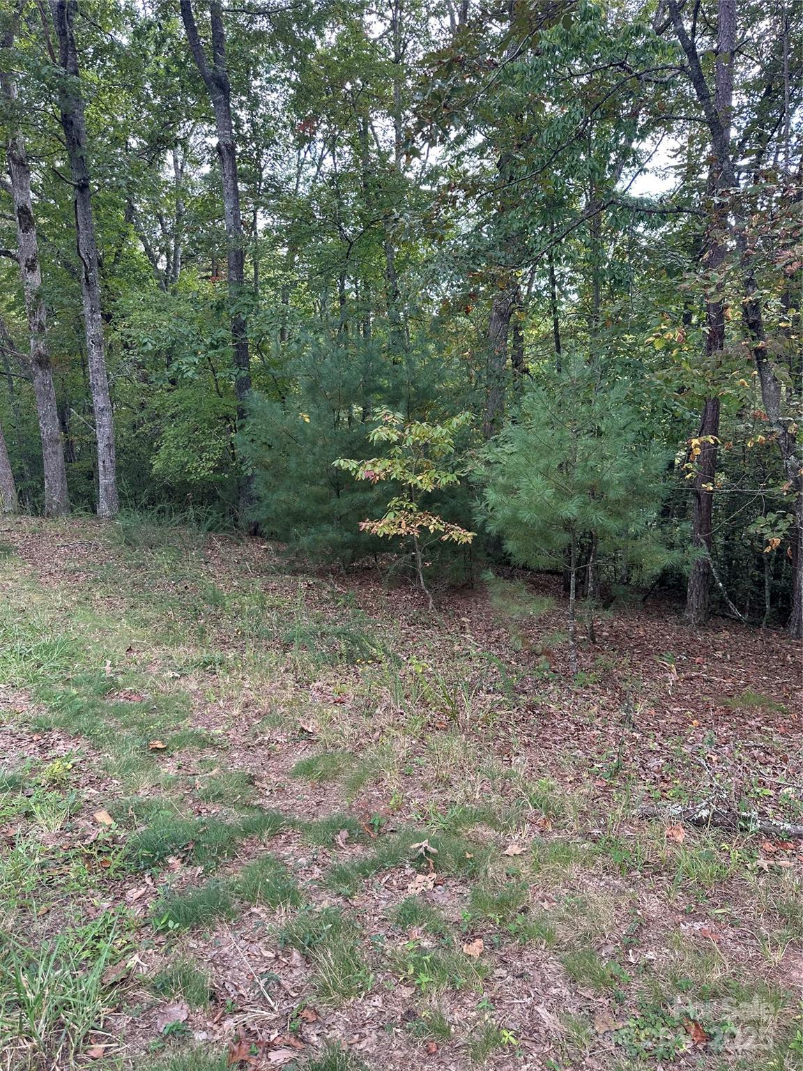 00 Pleasant Hill Road Franklin NC 28734