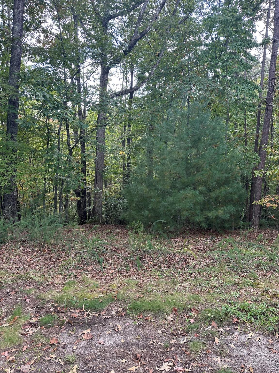 00 Pleasant Hill Road Franklin NC 28734