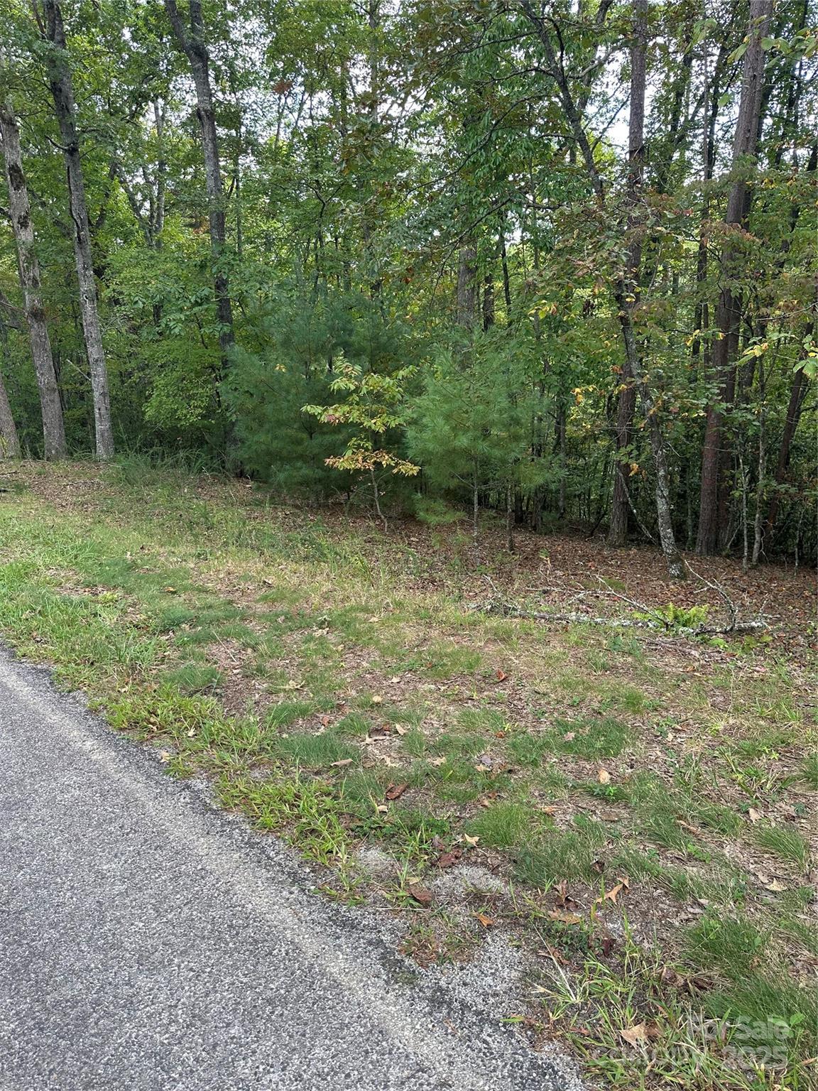 00 Pleasant Hill Road Franklin NC 28734