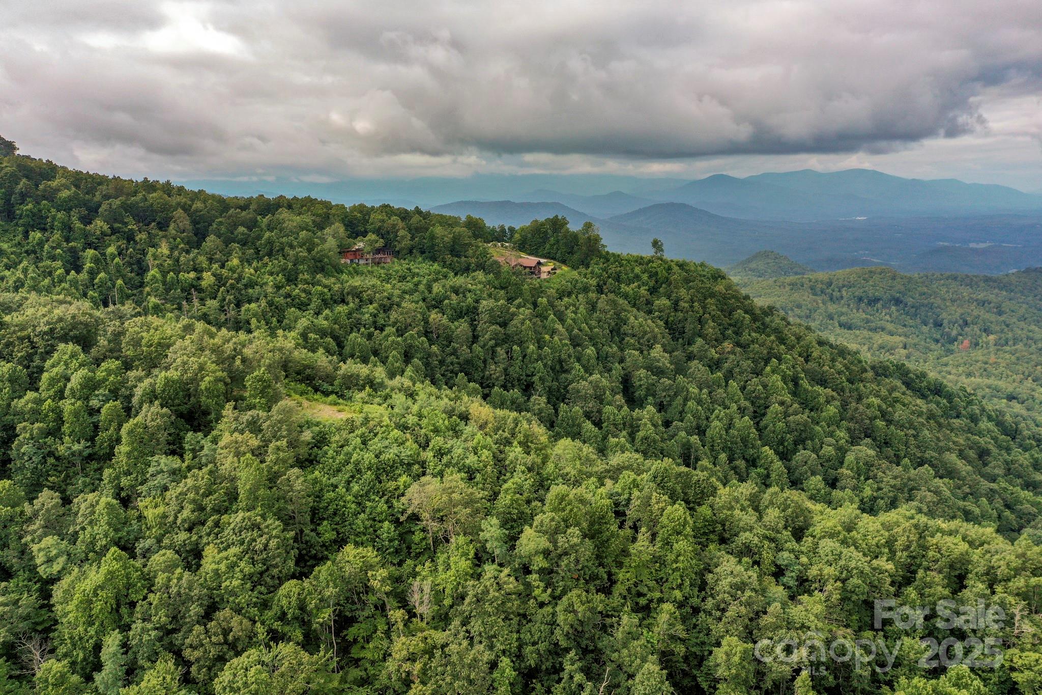 9999 High Cliffs Trail Black Mountain NC 28711