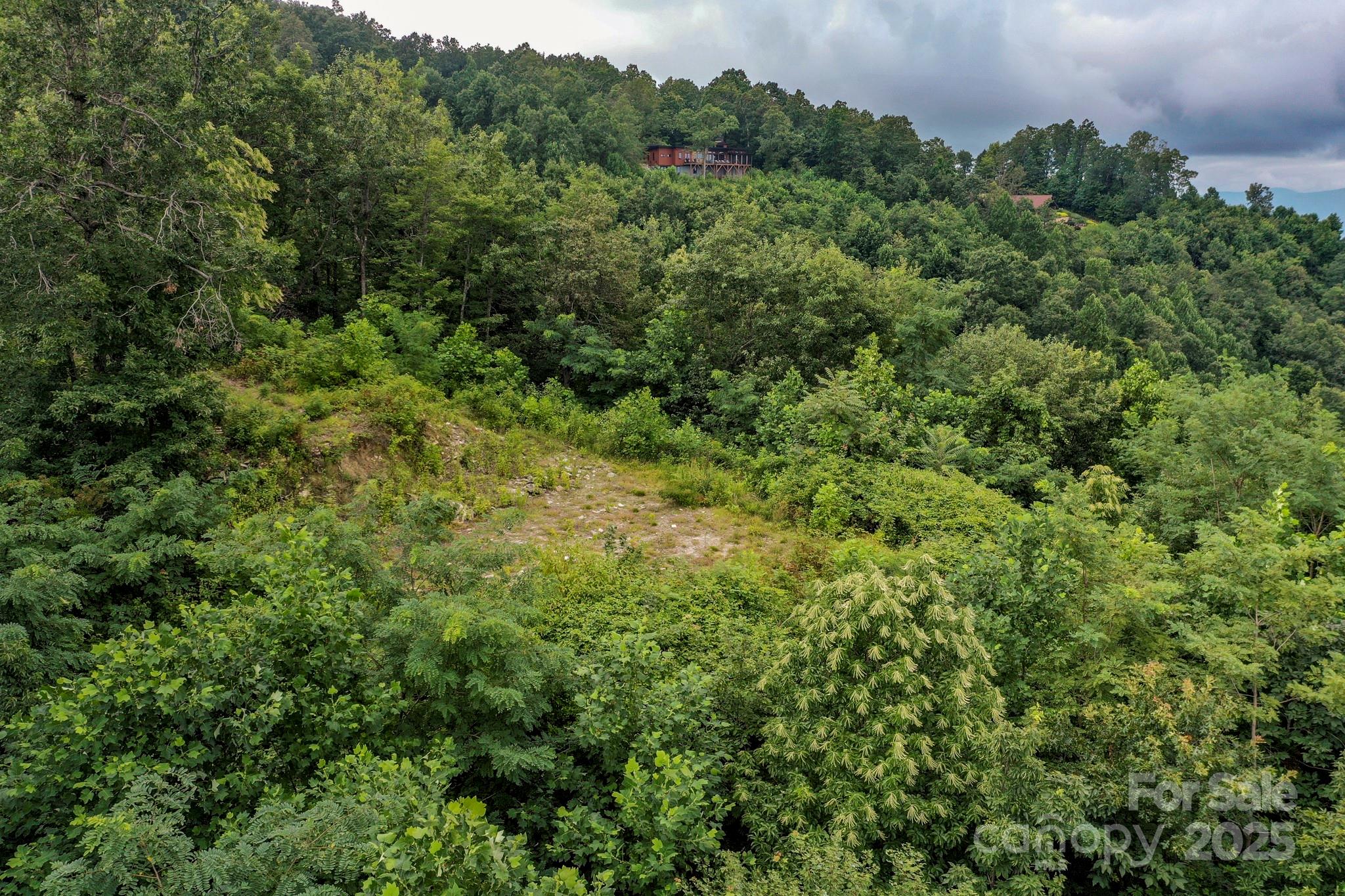 9999 High Cliffs Trail Black Mountain NC 28711