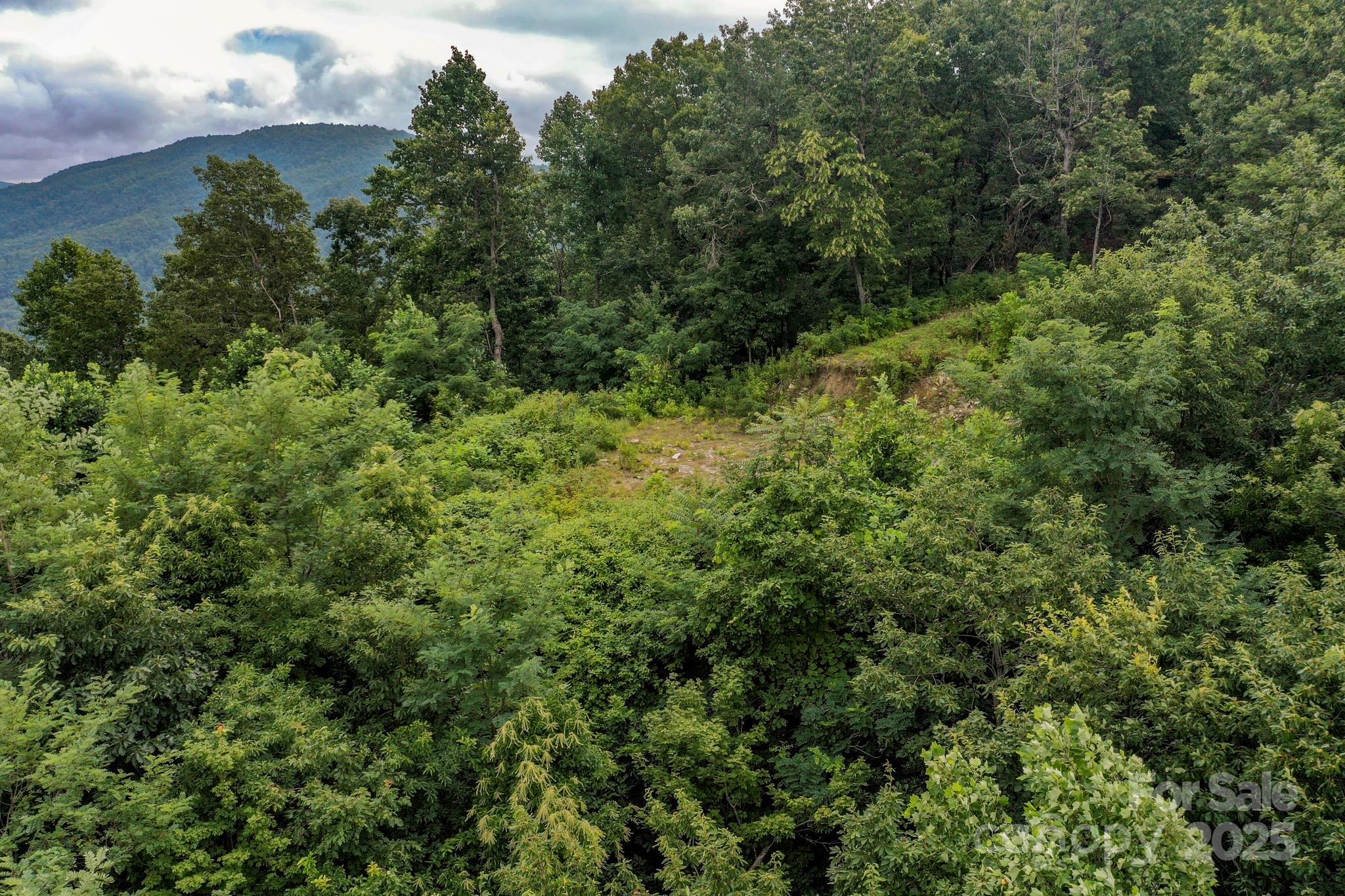 9999 High Cliffs Trail Black Mountain NC 28711