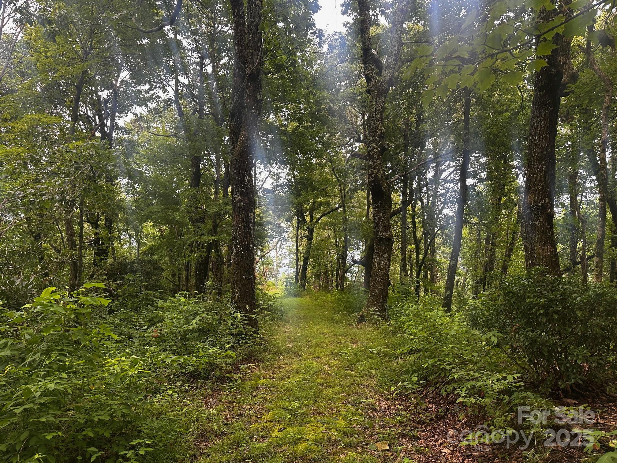 9999 High Cliffs Trail Black Mountain NC 28711