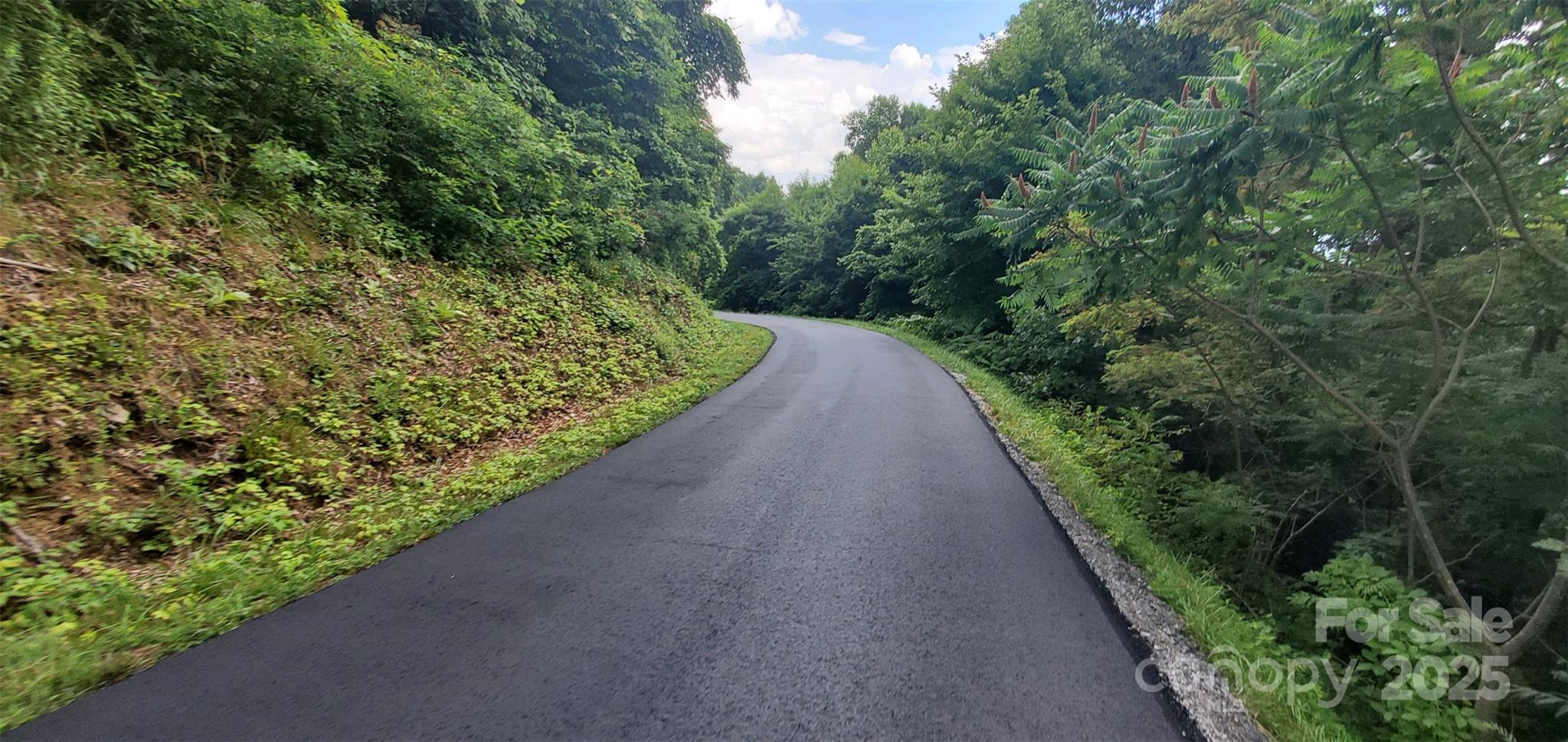 9999 High Cliffs Trail Black Mountain NC 28711