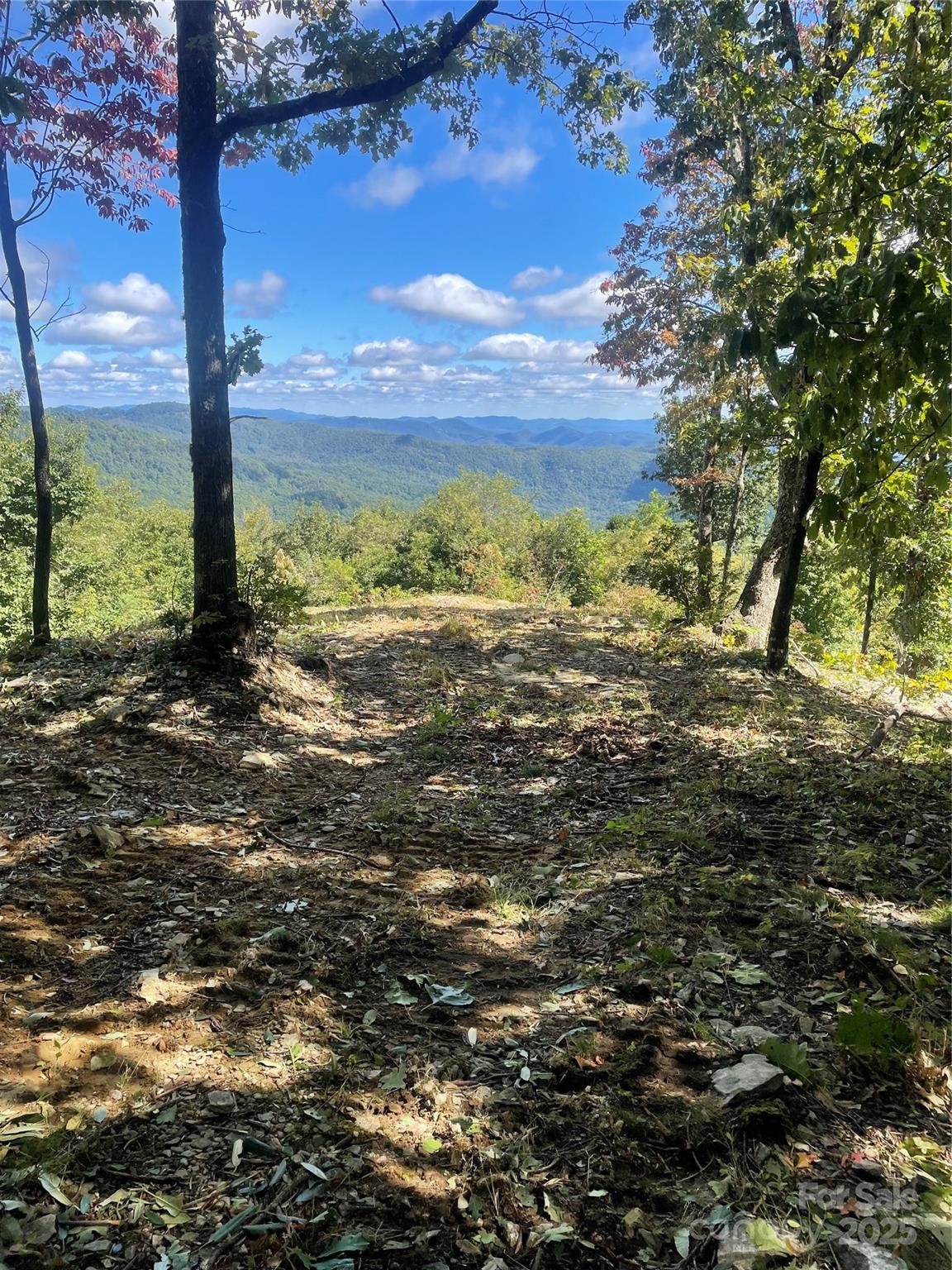 9999 High Cliffs Trail Black Mountain NC 28711