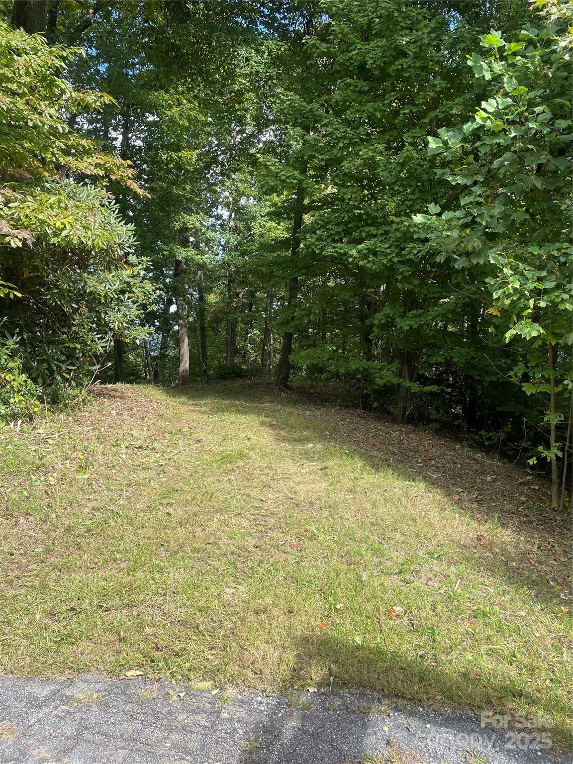 9999 High Cliffs Trail Black Mountain NC 28711