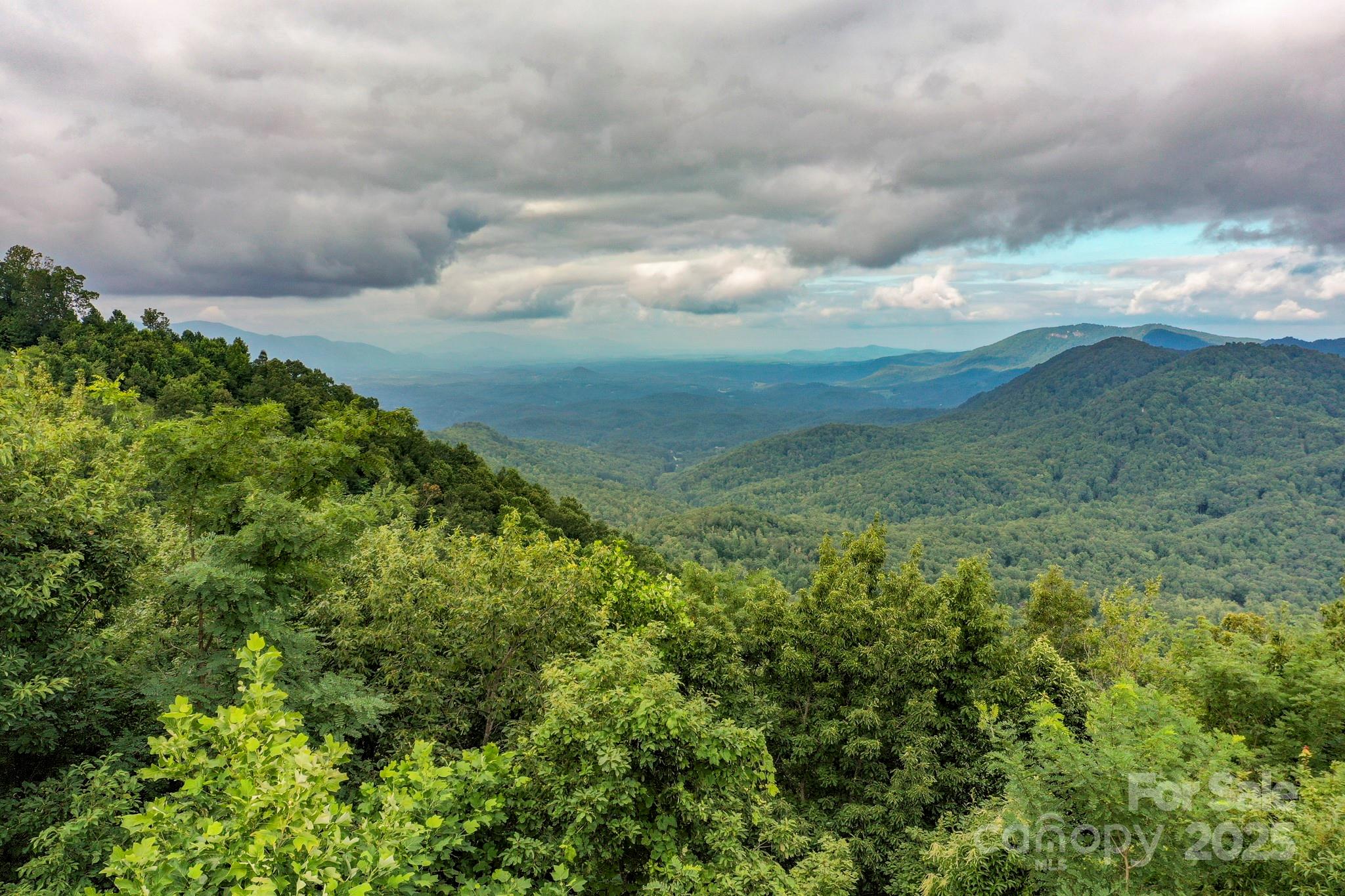 9999 High Cliffs Trail Black Mountain NC 28711