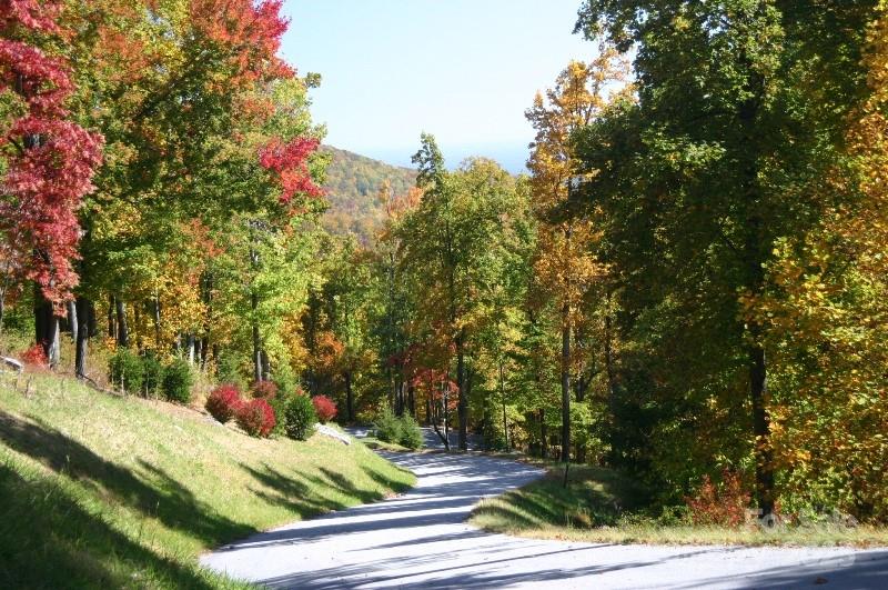 9999 High Cliffs Trail Black Mountain NC 28711