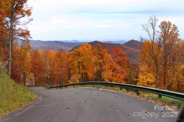 9999 High Cliffs Trail Black Mountain NC 28711