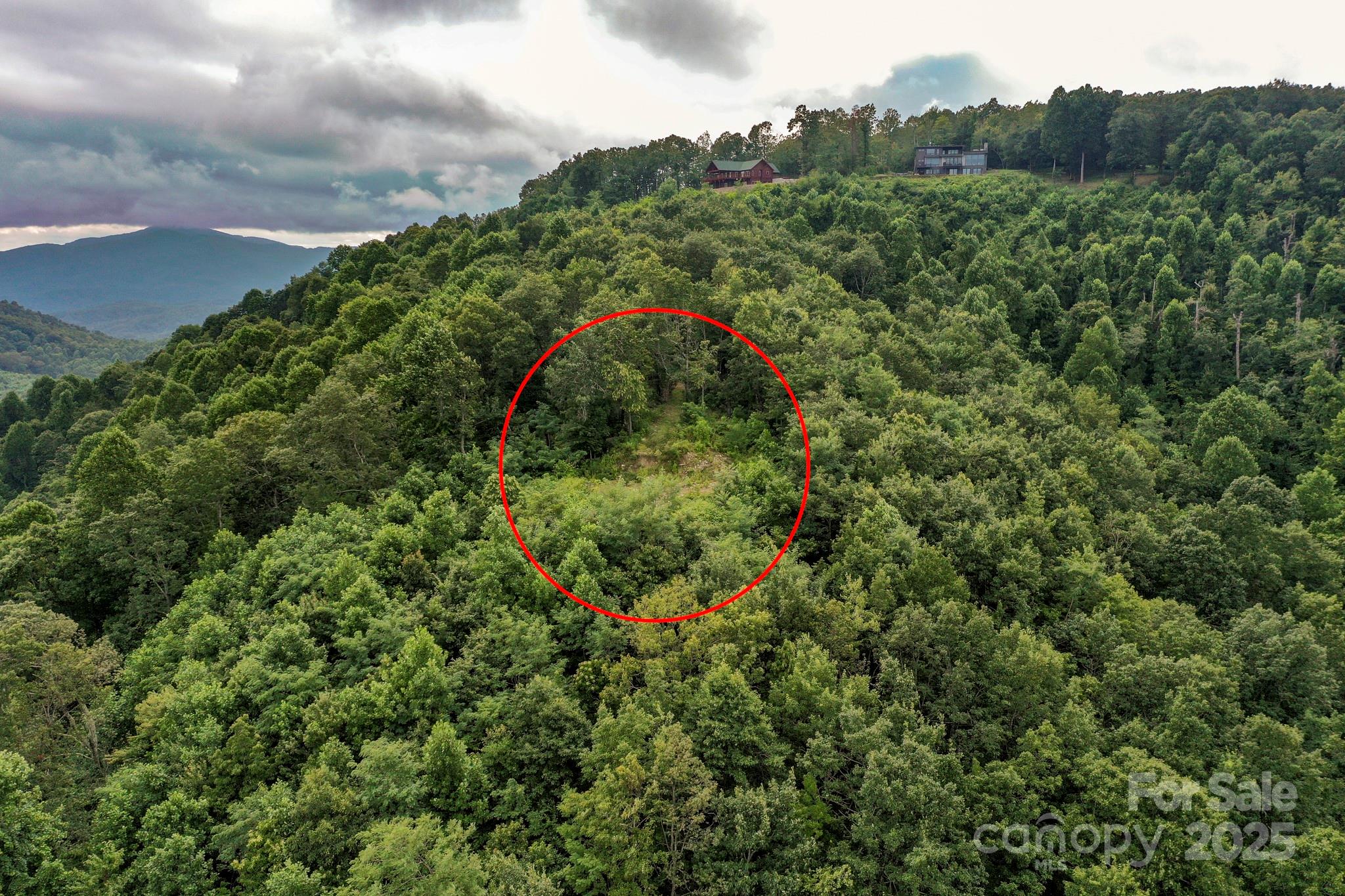 9999 High Cliffs Trail Black Mountain NC 28711