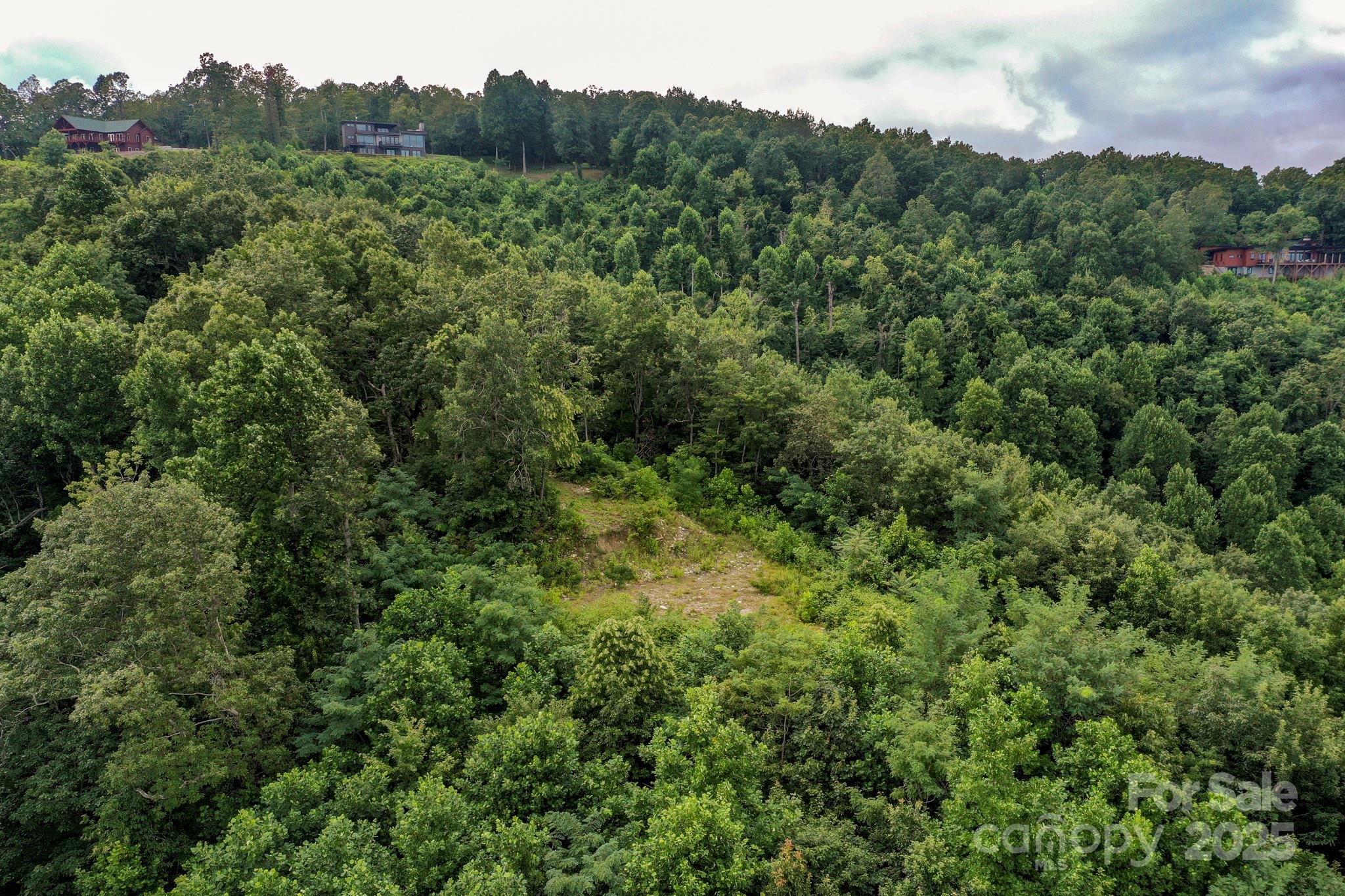 9999 High Cliffs Trail Black Mountain NC 28711