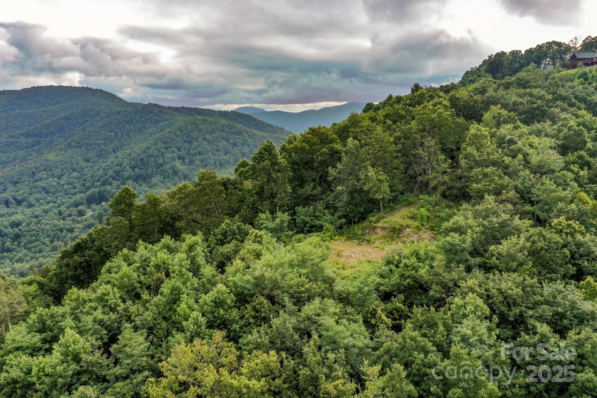 9999 High Cliffs Trail Black Mountain NC 28711