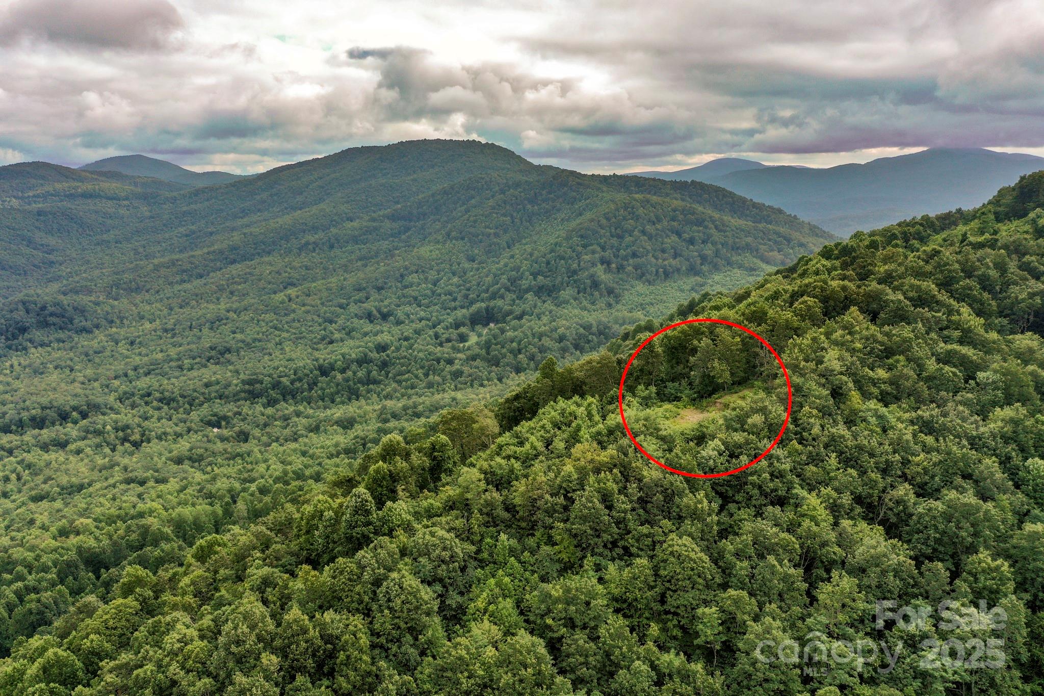 9999 High Cliffs Trail Black Mountain NC 28711