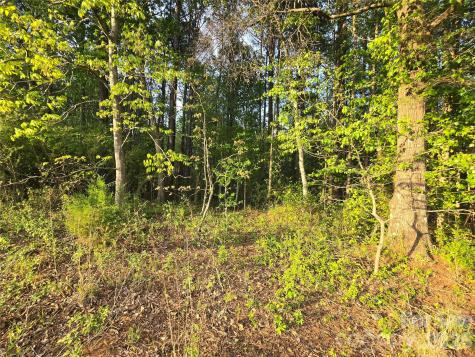 00 Ketchie Road Mt Ulla NC 28125