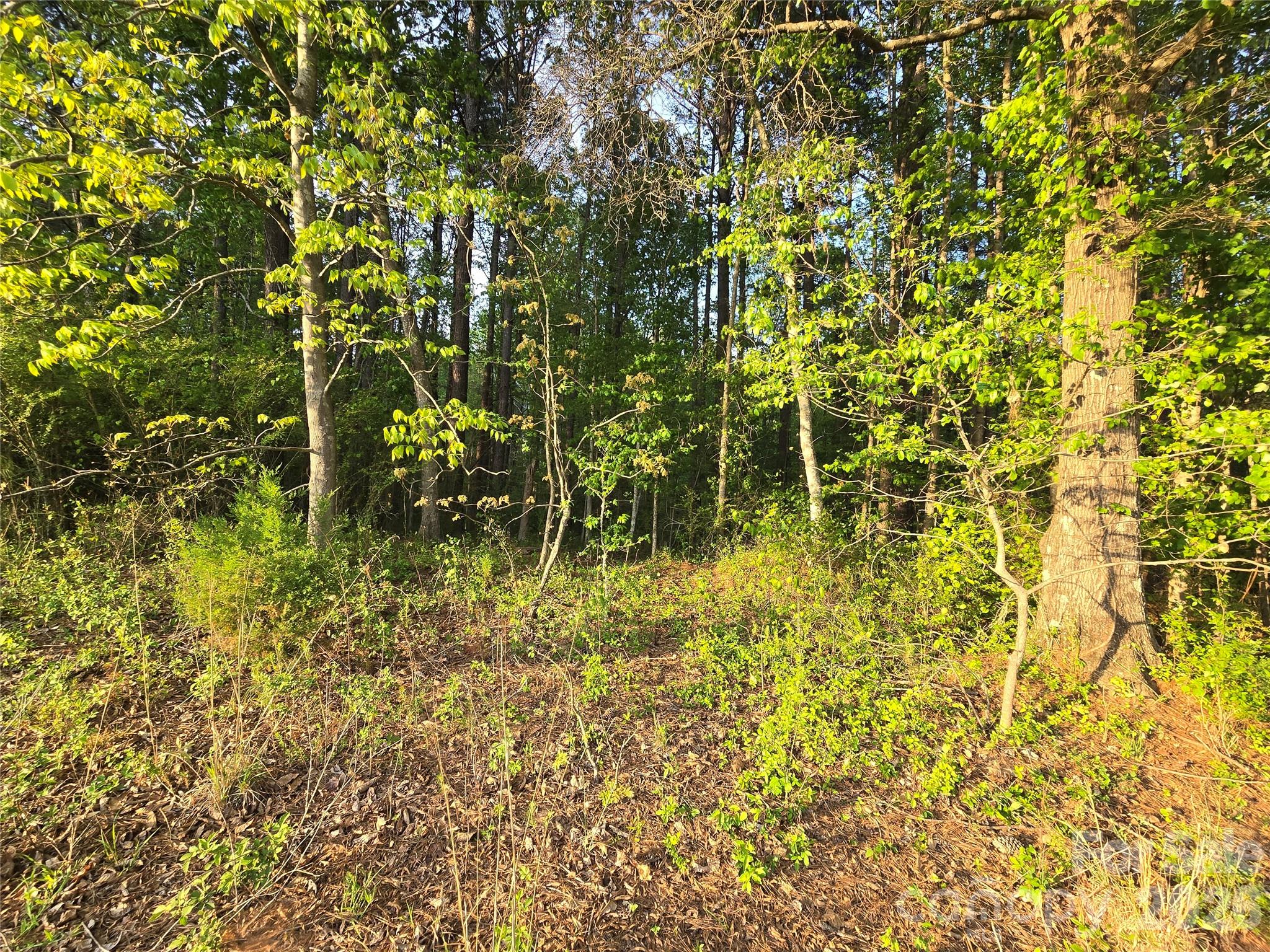 00 Ketchie Road Mt Ulla NC 28125
