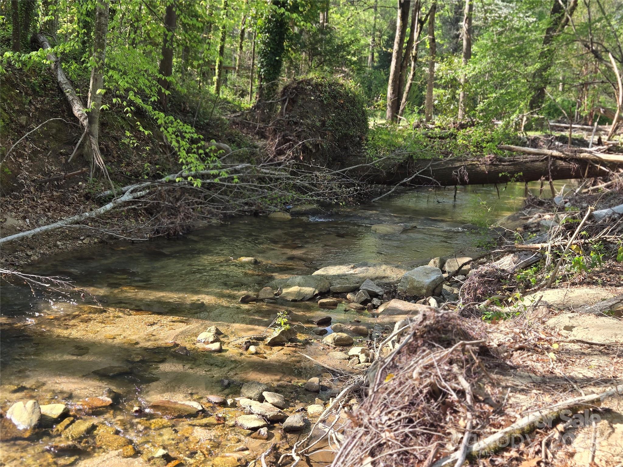 Lot 164 Spanarkel Lane Lake Lure NC 28746
