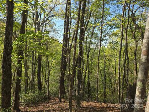 Lot 164 Spanarkel Lane Lake Lure NC 28746