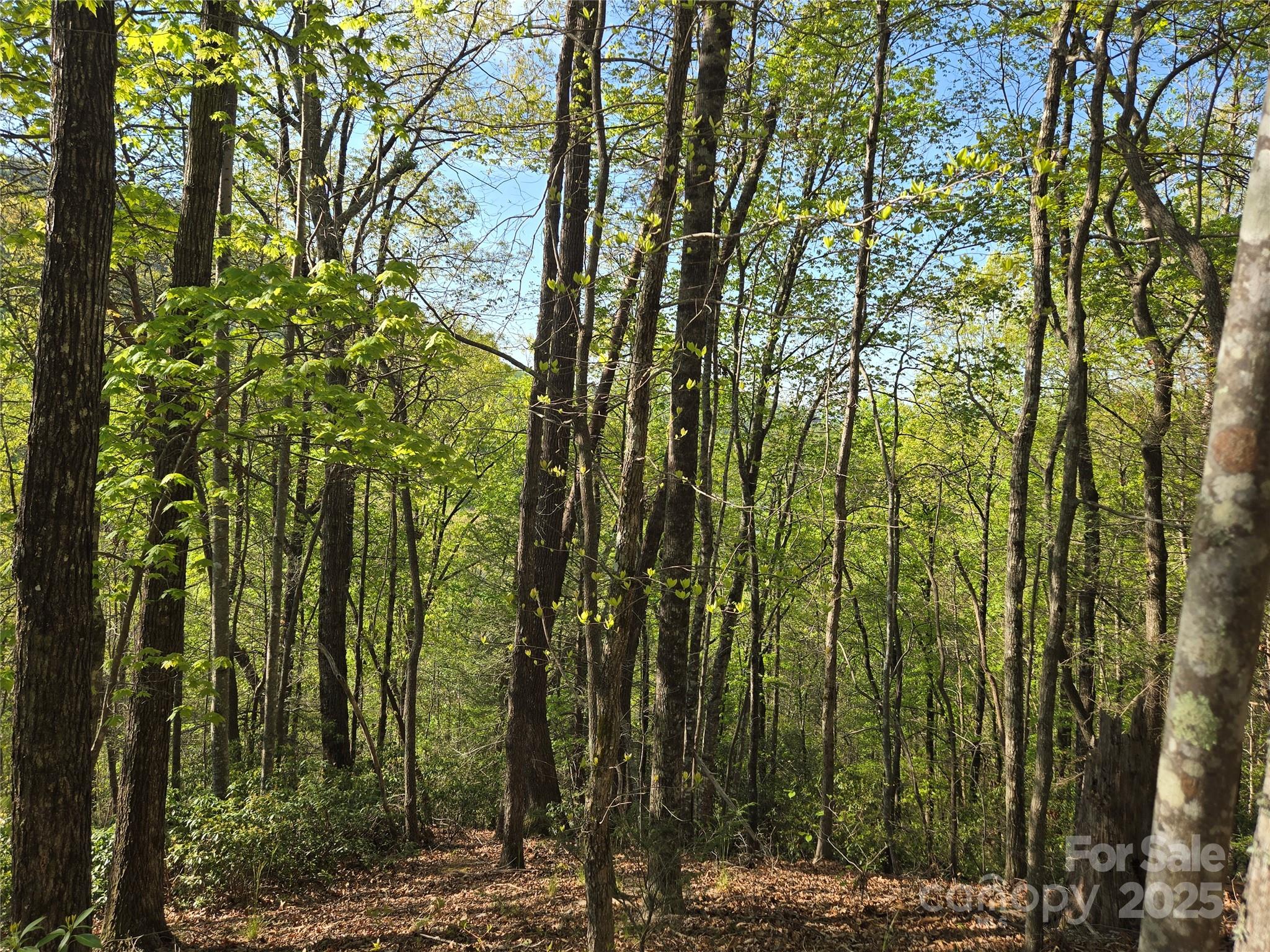 Lot 164 Spanarkel Lane Lake Lure NC 28746