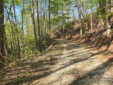 Lot 164 Spanarkel Lane Lake Lure NC 28746