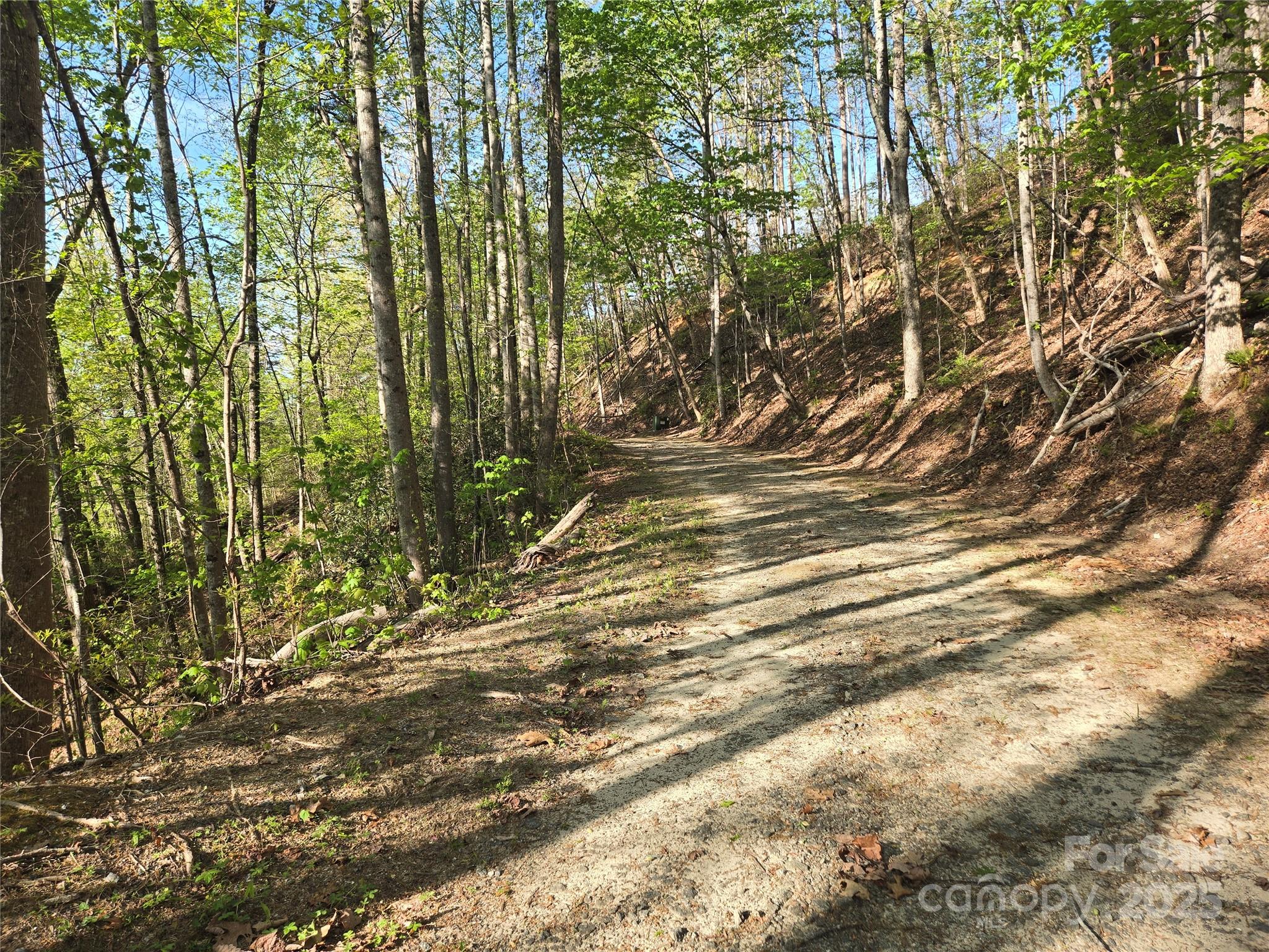 Lot 164 Spanarkel Lane Lake Lure NC 28746