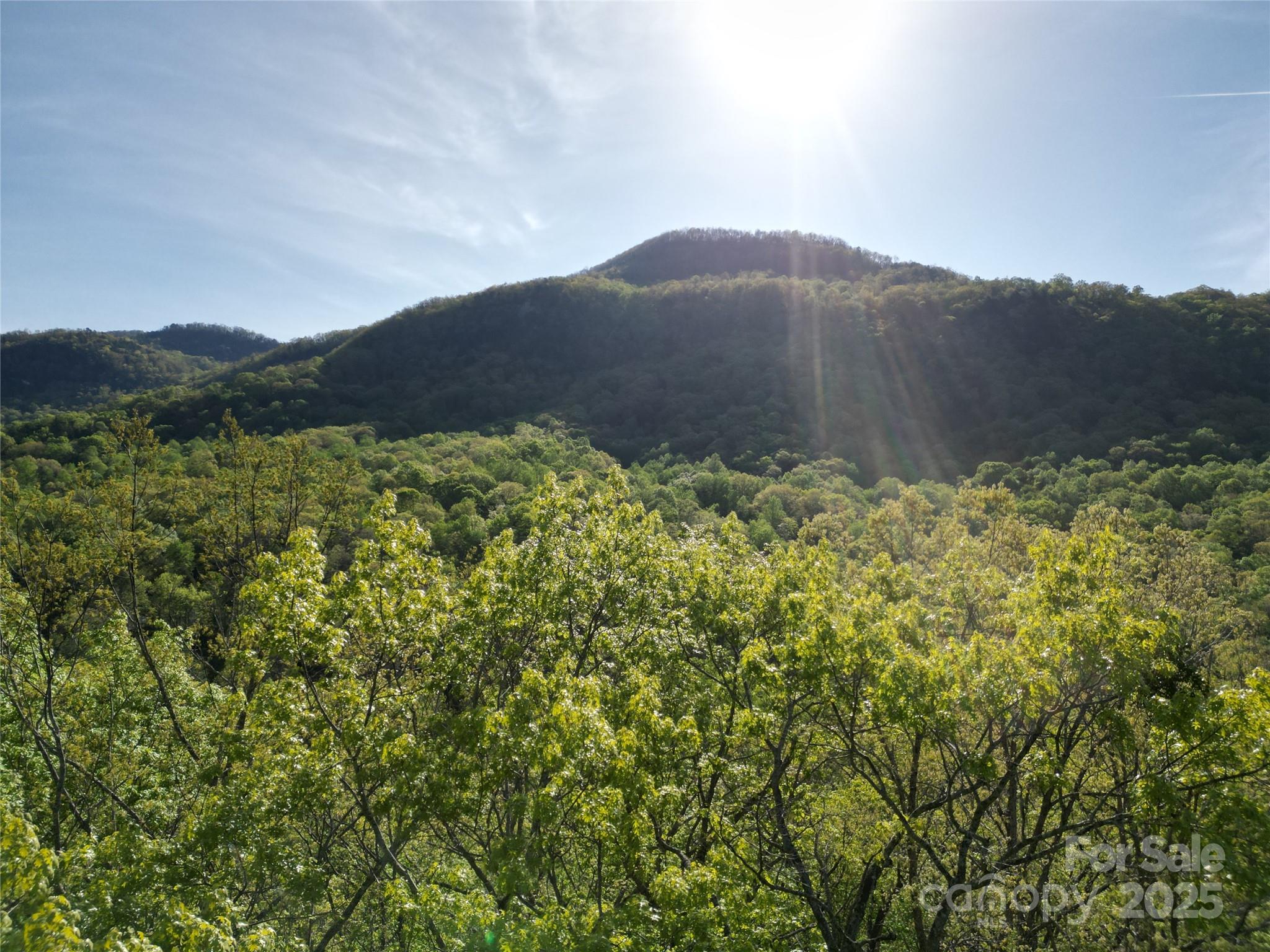 Lot 164 Spanarkel Lane Lake Lure NC 28746