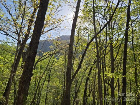 Lot 164 Spanarkel Lane Lake Lure NC 28746