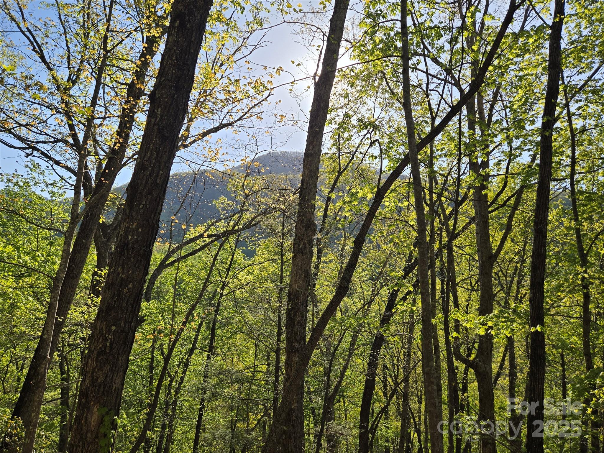 Lot 164 Spanarkel Lane Lake Lure NC 28746