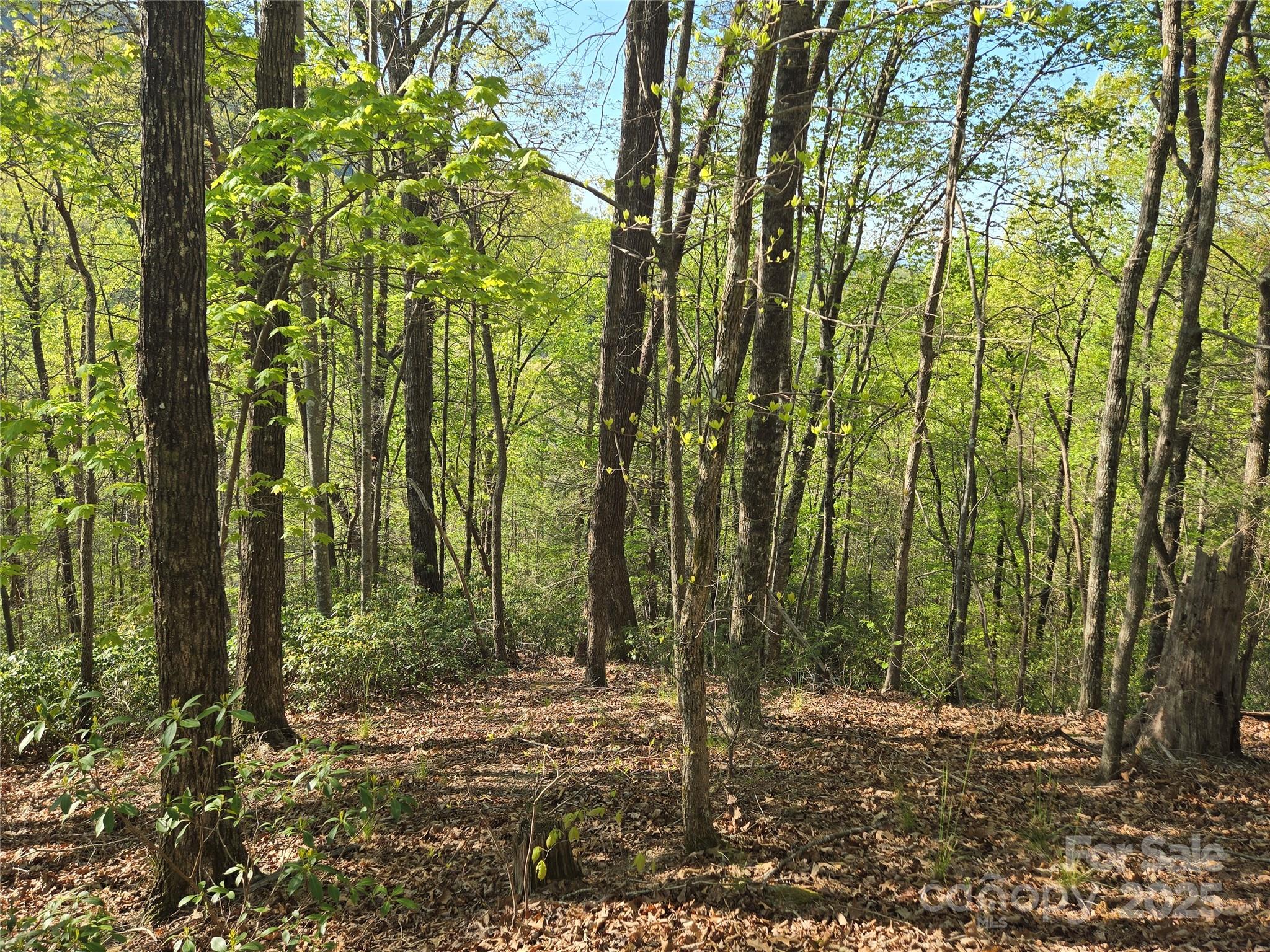 Lot 164 Spanarkel Lane Lake Lure NC 28746