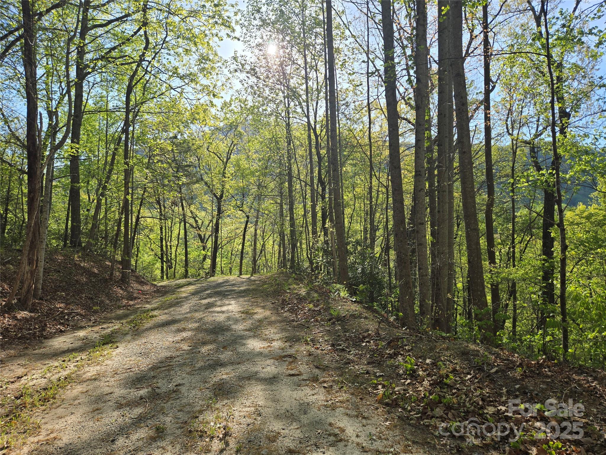 Lot 164 Spanarkel Lane Lake Lure NC 28746